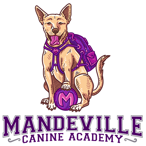 Private Training — Canine Academy